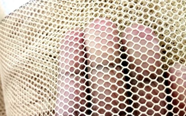 Trucker Mesh